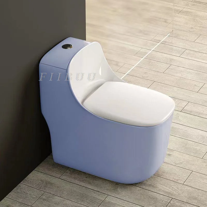 One Piece Toilet For Bathrooms Household Ceramic Toilet with High Pressure Dual Flush Toilet Soft Closing Seat 300mm Rough-In