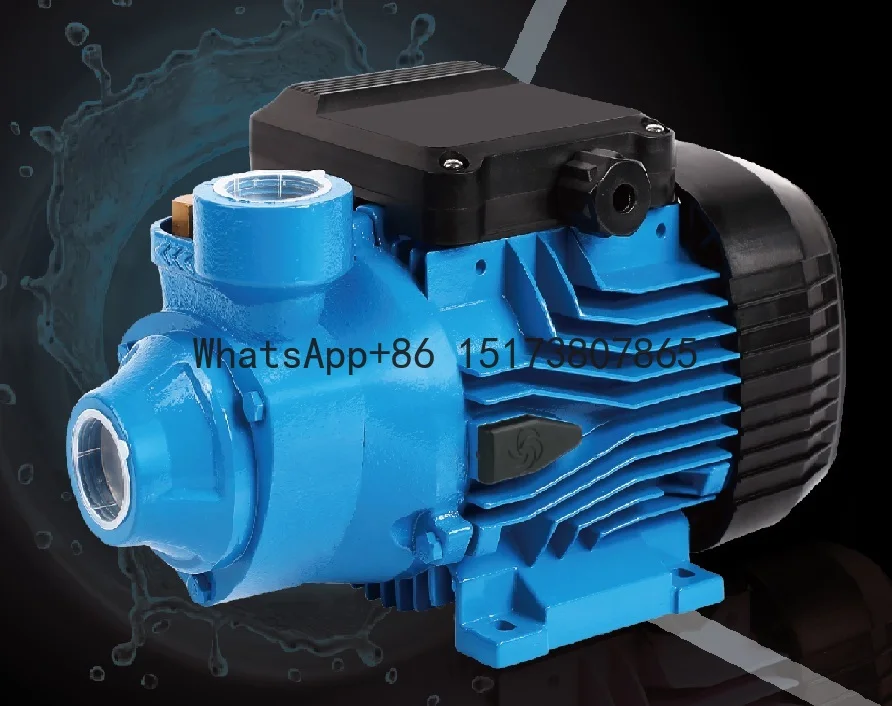 Centrifugal Pump/peripheral Pump