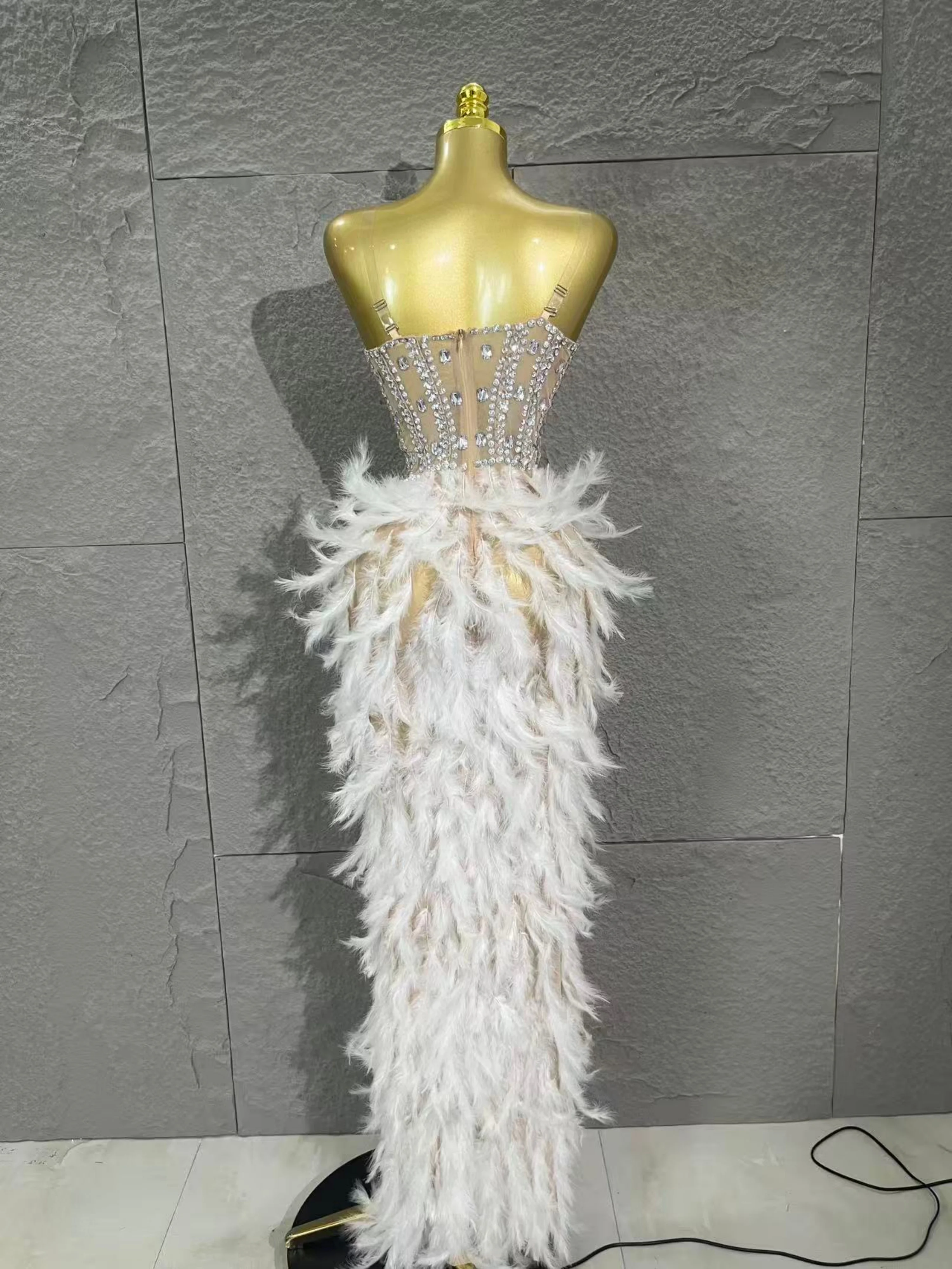 Robe longue en maille, plumes de strass scintillants sophistiquées, Sexy, soirée, spectacle d'anniversaire, séance photo, Costume de tapis rouge