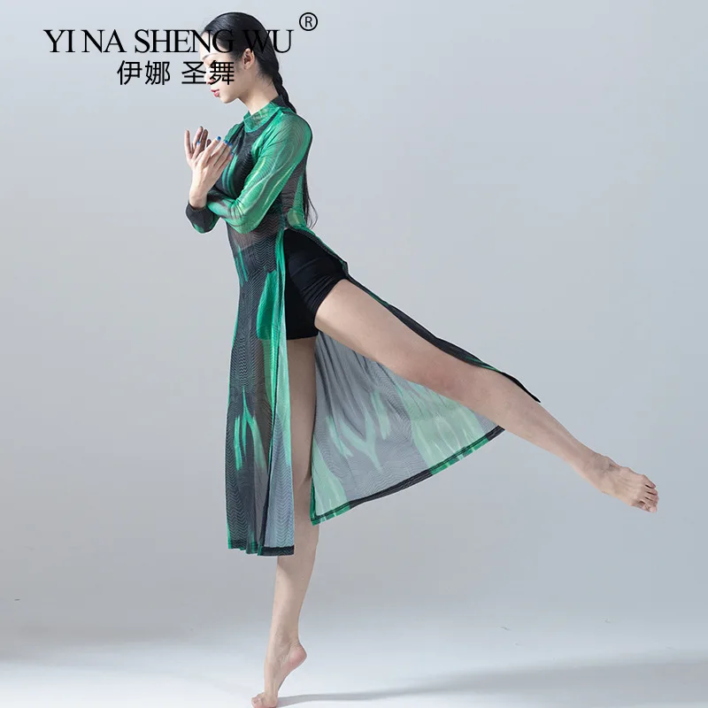 Classical Dance Cheongsam-style Long Skirt Classical Dance Female Professional Performance Mesh Long-sleeved Practice Clothes