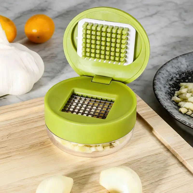 1pc Multifunctional Garlic Press Manual Mincer ABS And Stainless Steel Garlic Slicer Handheld Ginger Masher With Storage Case