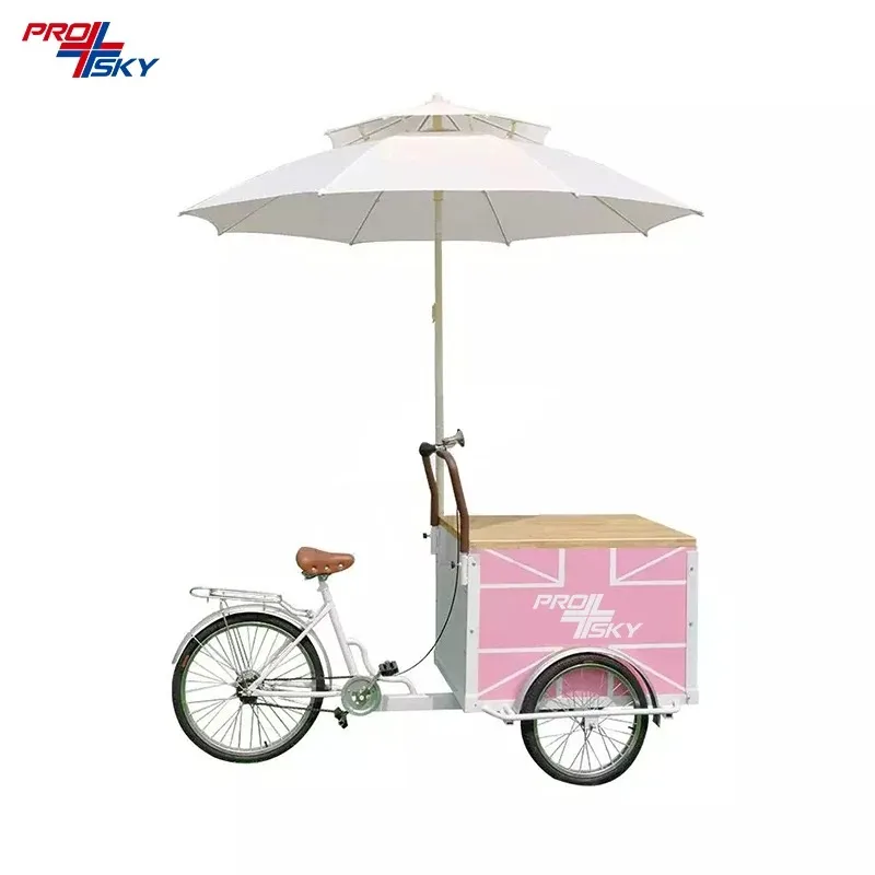 

European Gelato Cart with Freezer Showcase Cold Drinks Beverage Ice Cream Push Cart Mobile Vendor Bike for Street Business 2024