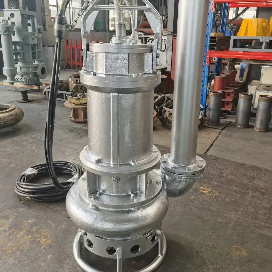 

Submersible SS304 Dirty Water Sewage Pump