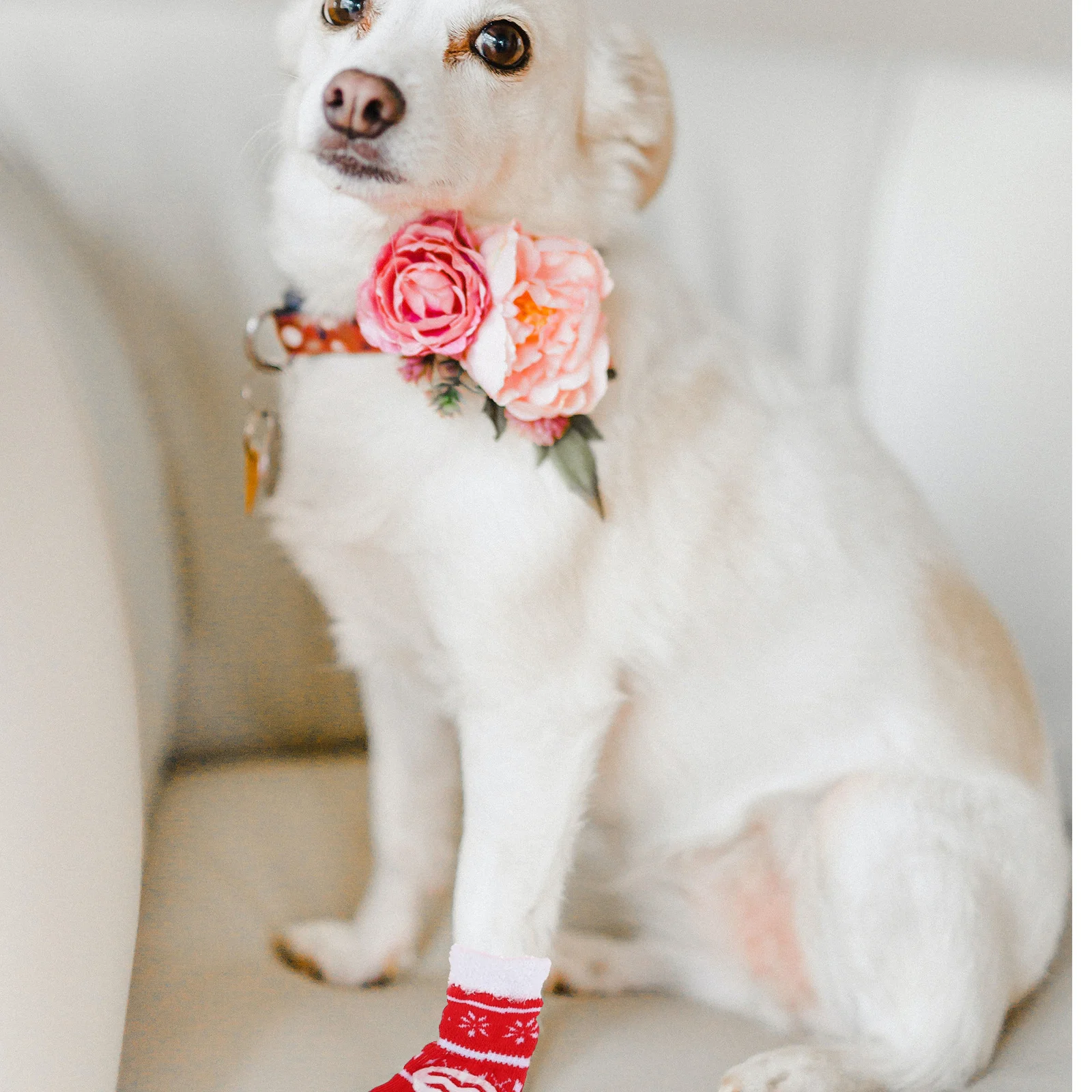 

16Pcs Non-Slip Pet Socks Warm Footwear for Dogs Stylish Christmas Stockings Protection Pet Socks Dog Paw Protection