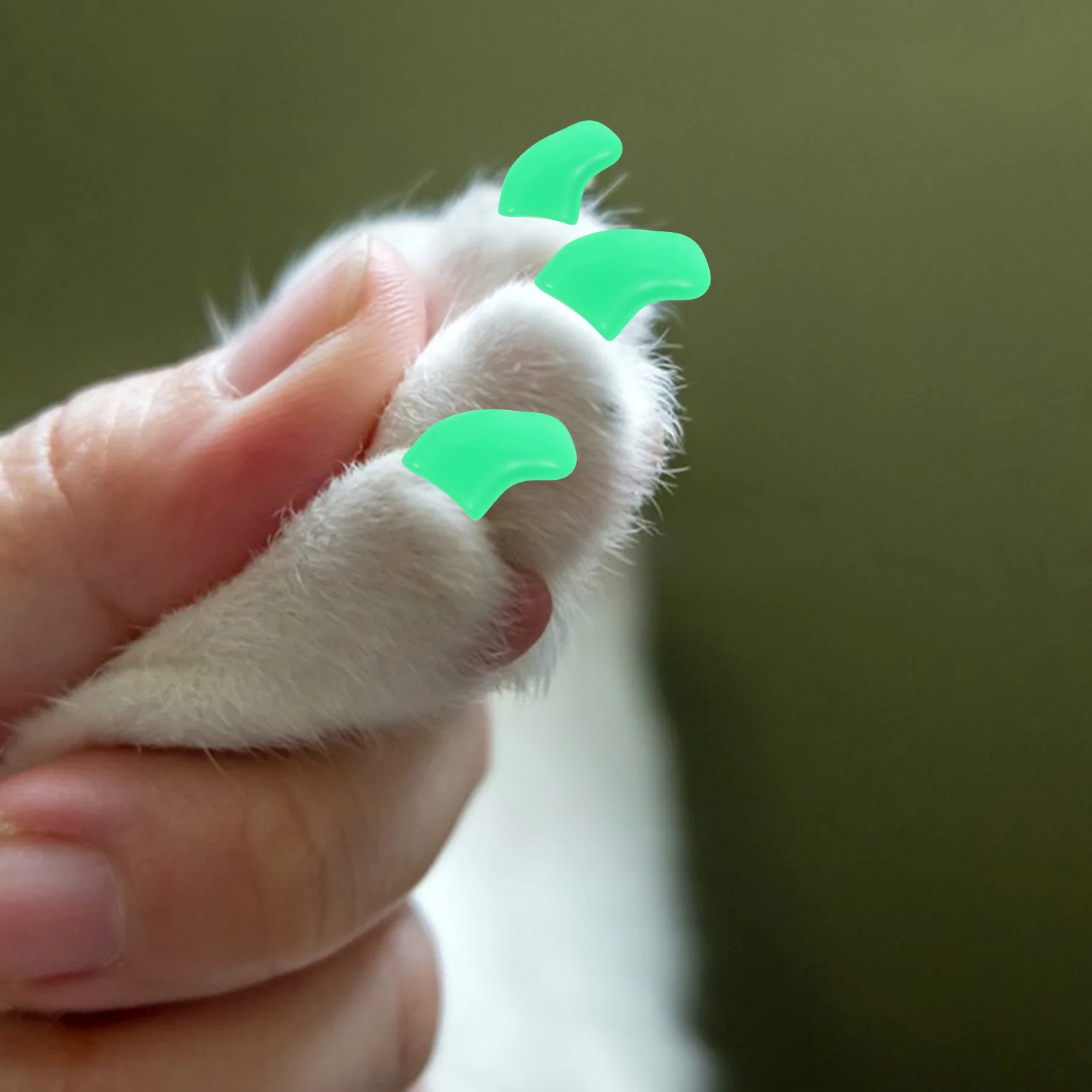

20 PCS Cat Nail Kit Covers for Indoor Cats Claw Caps Furniture Accessories Tpr Tips