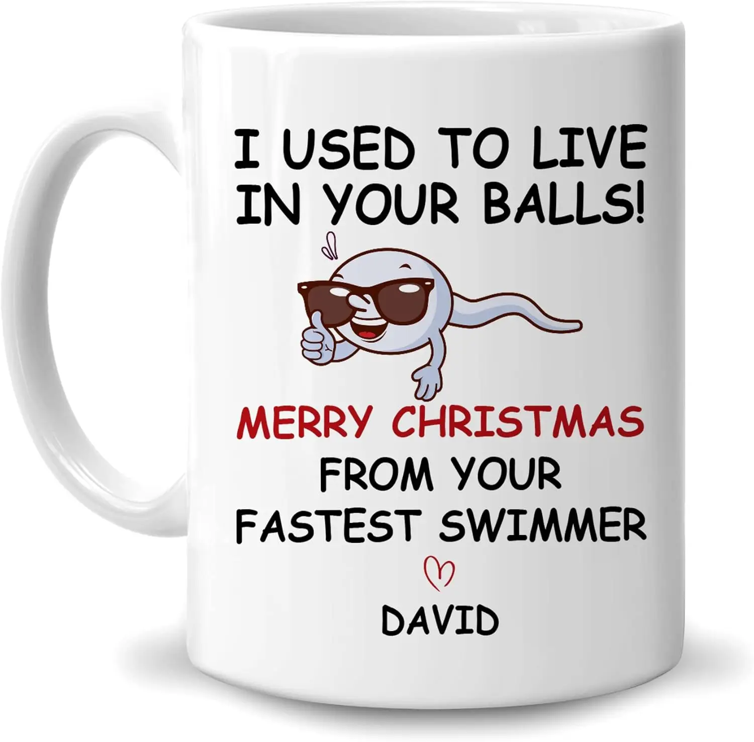 Hyturtle Personalized Funny Christmas Gifts for Dad Father Papa - I Used To Live In Your Balls Merry Christmas From Your Fastest