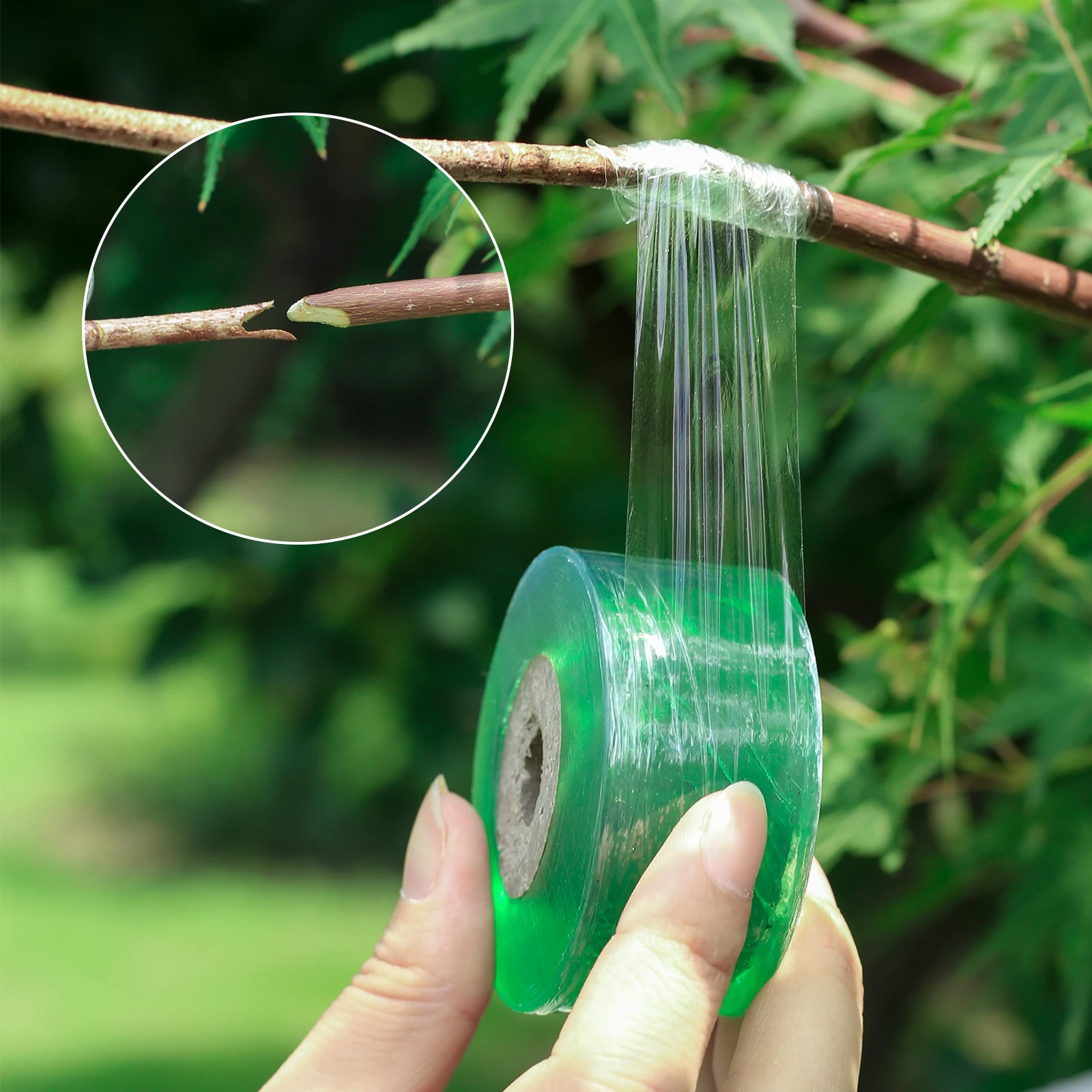 Filme de fita PE Stretchable, Auto-adesivo, Garden Tree Plant Seedling Vine, Acessórios de enxerto de tomate, 20mm, 30mm, 60mm, 100mm Largura