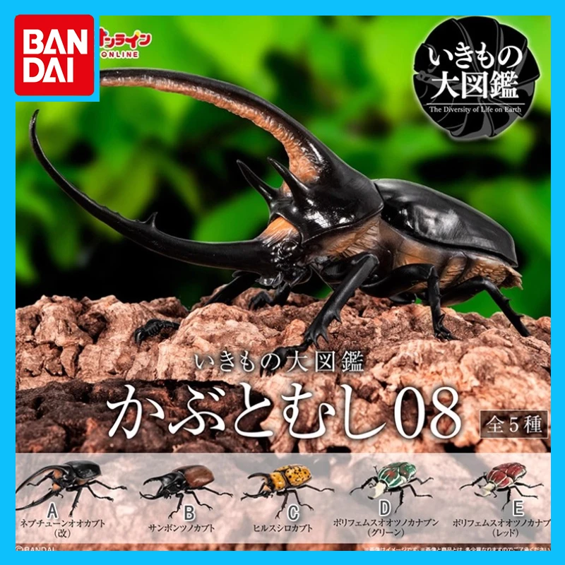 

Bandai Original Biological Encyclopedia Anime Figure Dipper Beetle Insect Ornament Action Figure Toys for Boys Girls Kids Gift