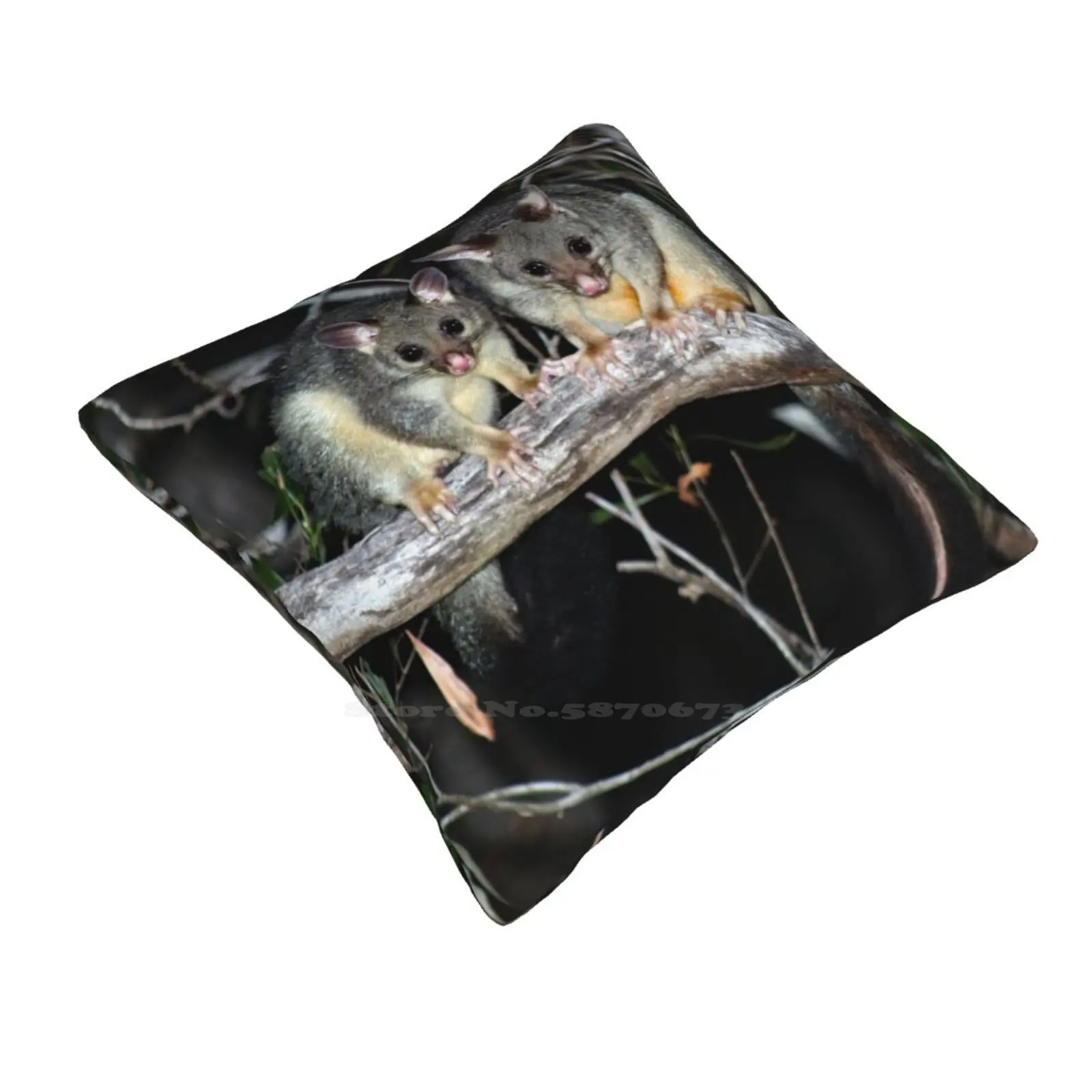 ? Australian Brushtail Possums Funny Cute Decor Square Pillowcase Australian Brushtail Possum Land For Wildlife Australian