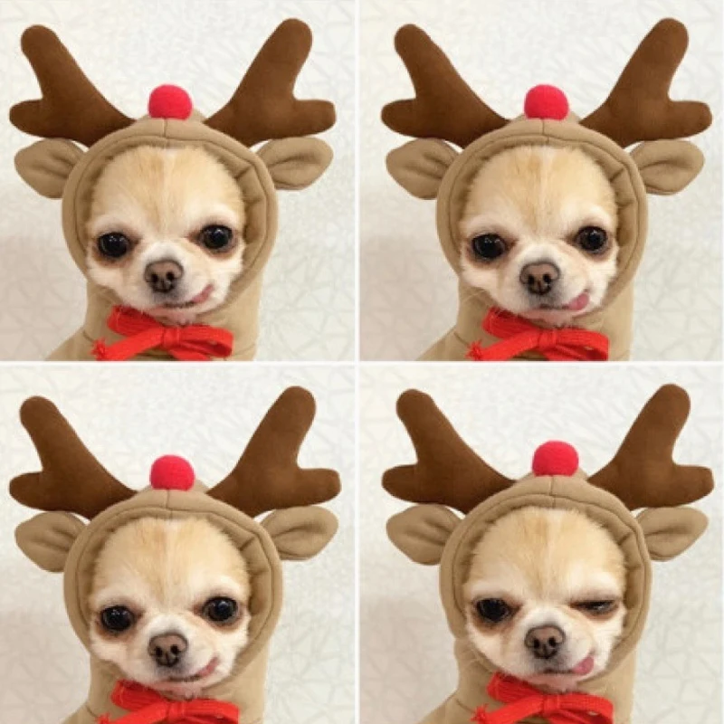 

Dog Hoodies Clothes Warm Sweatshirt Puppy Cat Costume Clothing Puppy Cat Costume Coat Accessories Warm Pet Clothes