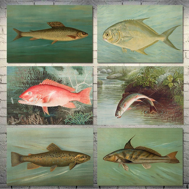 Scientific Natural History Coastal Ocean Reef Posters Red Snapper Trout Fish Prints Canvas Painting Wall Picture Home Room Decor