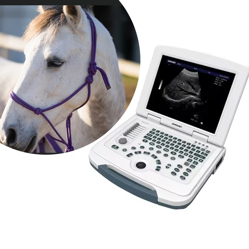 Veterinary Portable Equine Ovary Ultrasound Scanner 12.1-inch High Definition LCD Display Abdomen Ultrasound Treatment In Horses