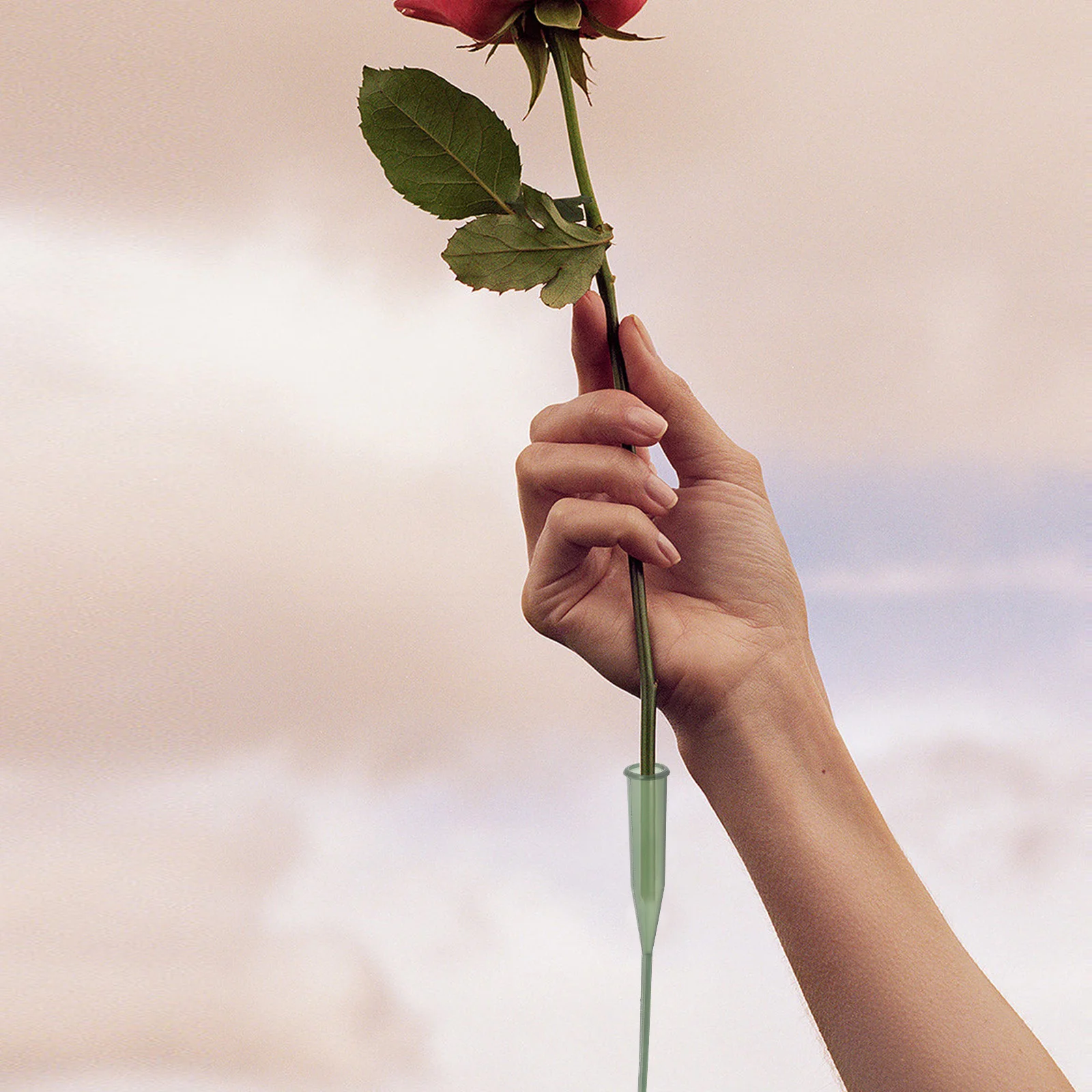 25 個の花用水チューブ生花保存バイアルアレンジメント用栄養液対応コンパクト軽量