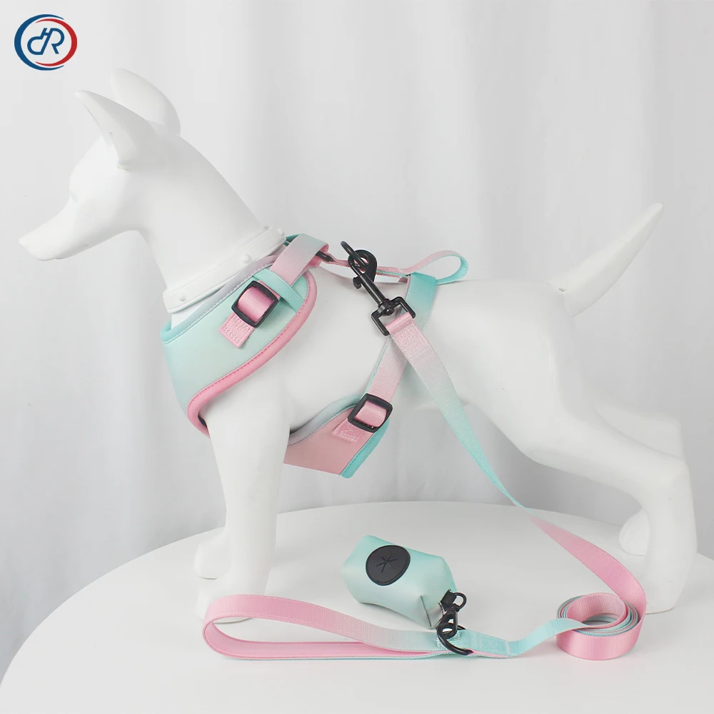 OKKPETS 4in1 Dog Harness&Collar&Leash&Poop Bag Accessories Polyester Gradient Color Pet Harness Set For Small Medium Large Dogs