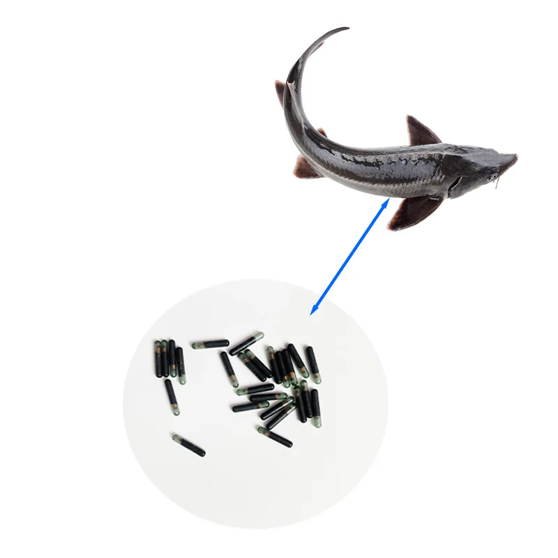 10Pcs 12Mm Animal M…