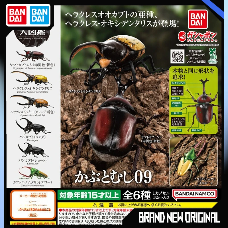 

Bandai Biological Encyclopedia Action Figures Model Pocket Beetle Rhinoceros Beetle Ornament Gashapon Ball Official Genuine