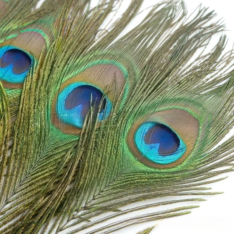 الجملة الطاووس ريشة زهرية تشكيلة زهور المرحلة زي عيون كبيرة اليدوية DIY مجوهرات الزفاف الديكور الطاووس الشعر #4