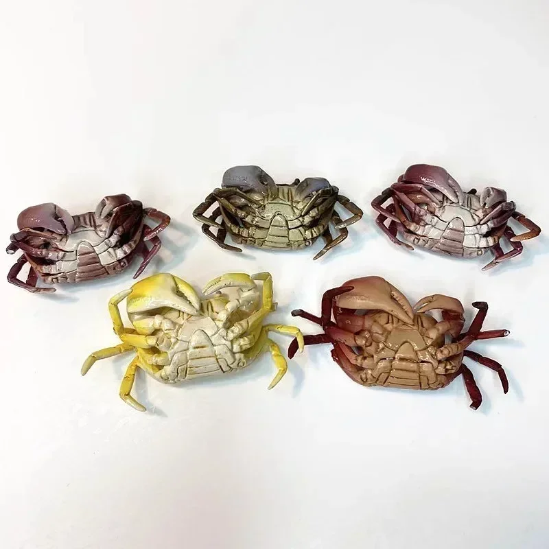 Kitan Original Gashapon Kawaii Cute Anime Artificial Animal River Crab Modelfigure Gachapon Capsule Toys Miniature Creative Gift