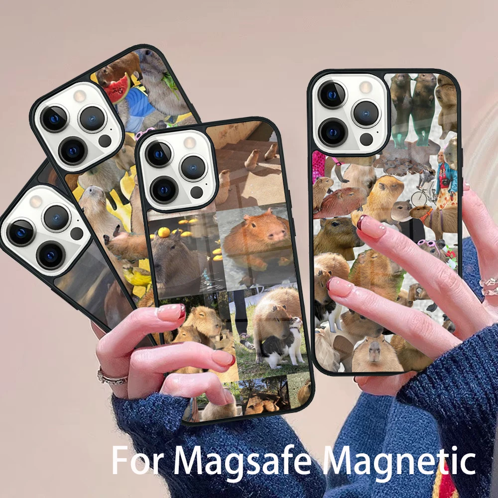 

Funny Capybara Phone Case Magesafe Magnetic Wireless Charge Cover For IPhone 16 11 12 13 14 15 Pro Max Plus Mini