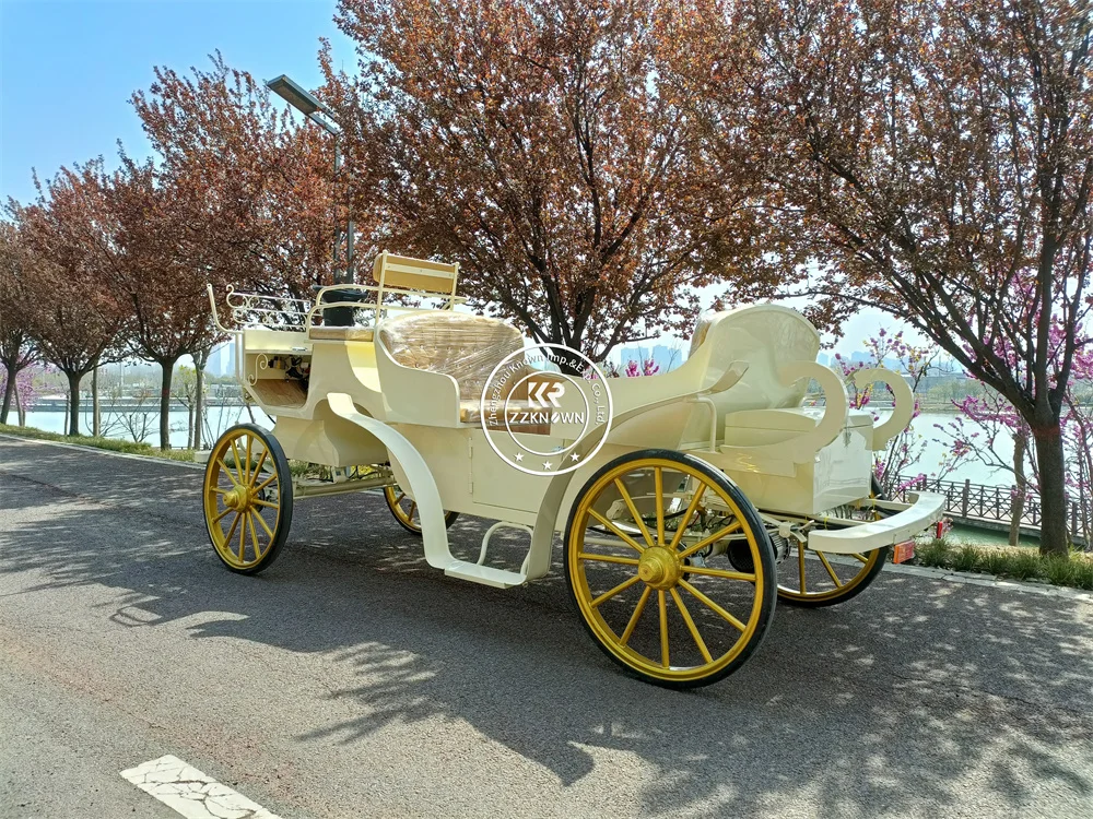 Двухрядные экскурсионные коляски в европейском стиле электрические Свадебные королевские коляски для продажи