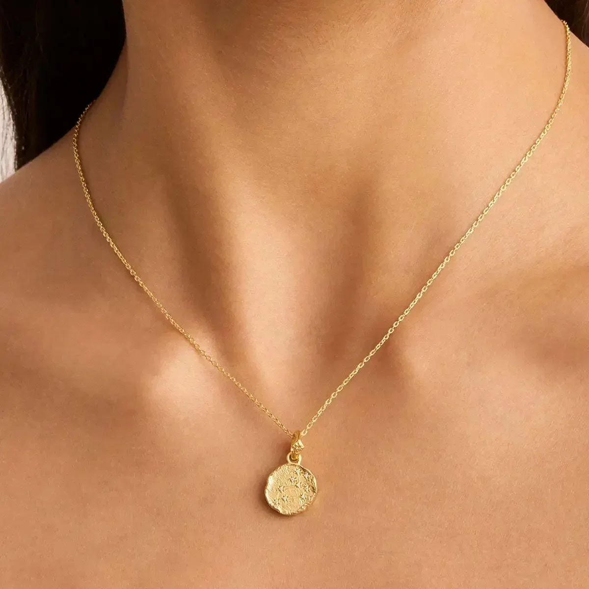 Vintage Stainless Steel Irregular Lava Texture 12 Constellations Symbol Necklace Zodiac Sign Coin Pendant Choker Jewelry Woimen - Image 4