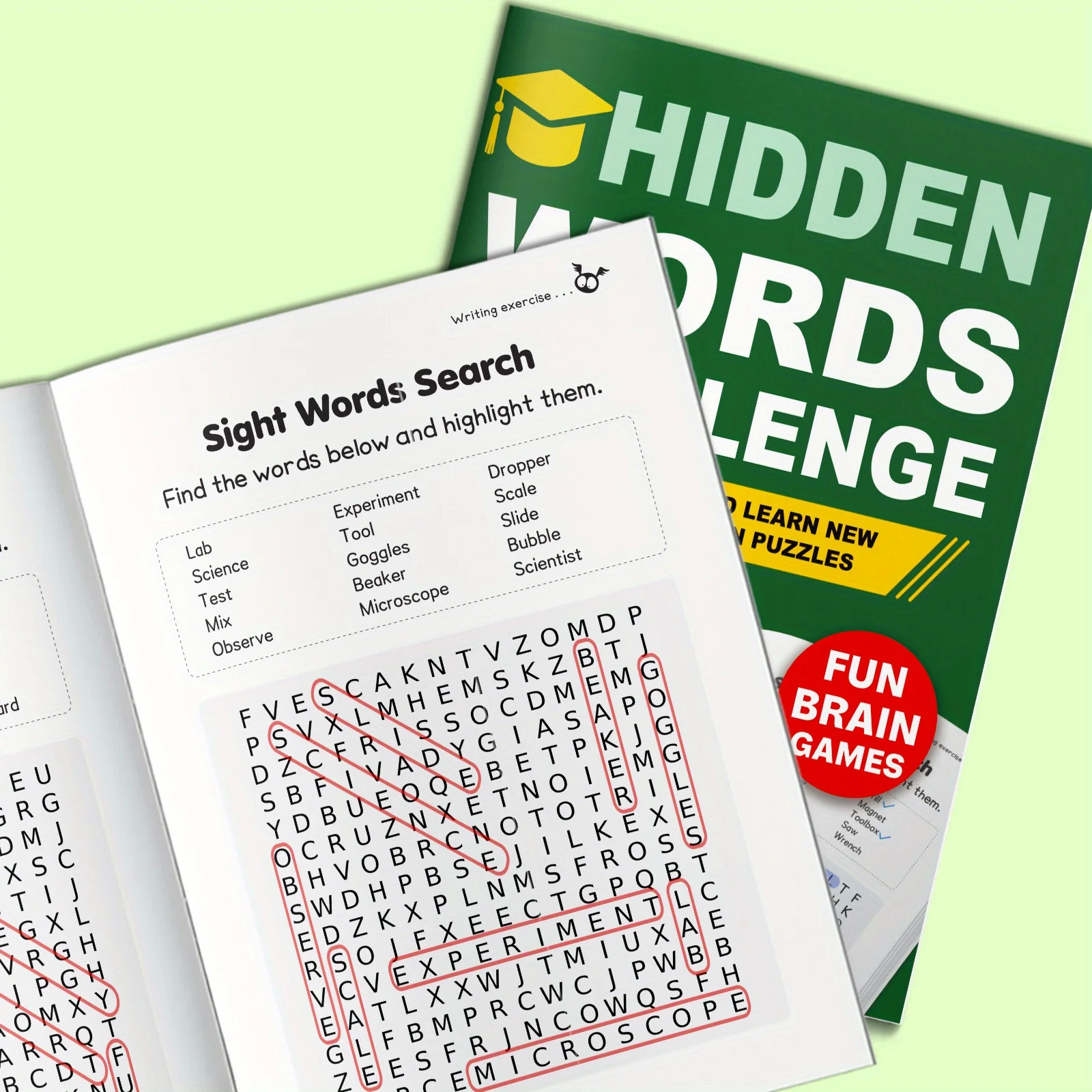 Word Hunt Challenge, Livro de - Sight Word Game avaliação e preço