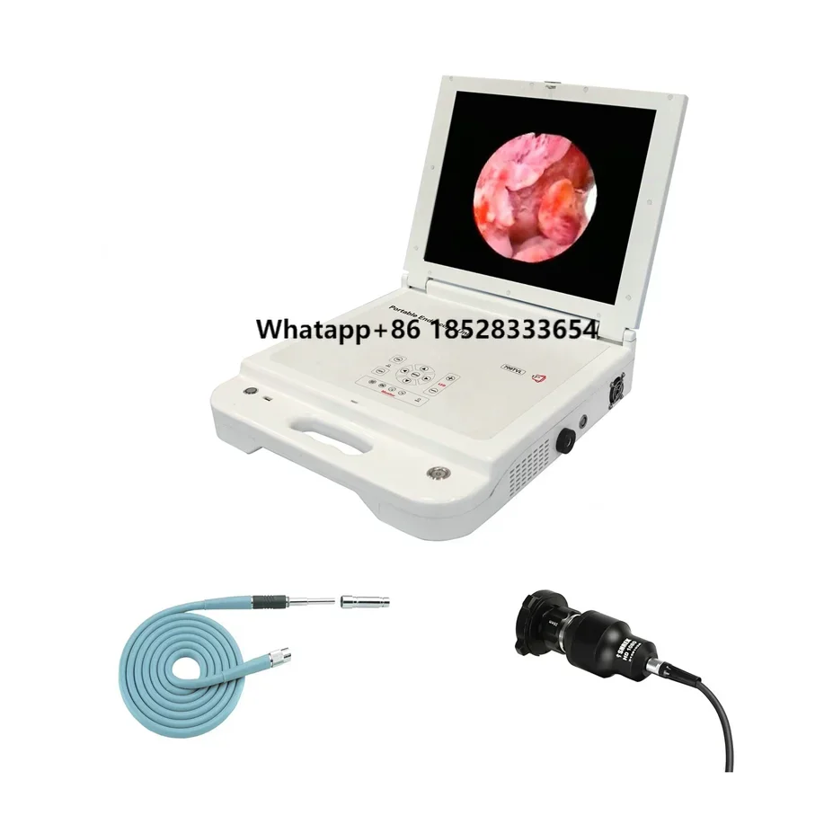 

High Quality 17 Inch HD Portable Endoscope CCD System ENT Portable Endoscope With Monitor