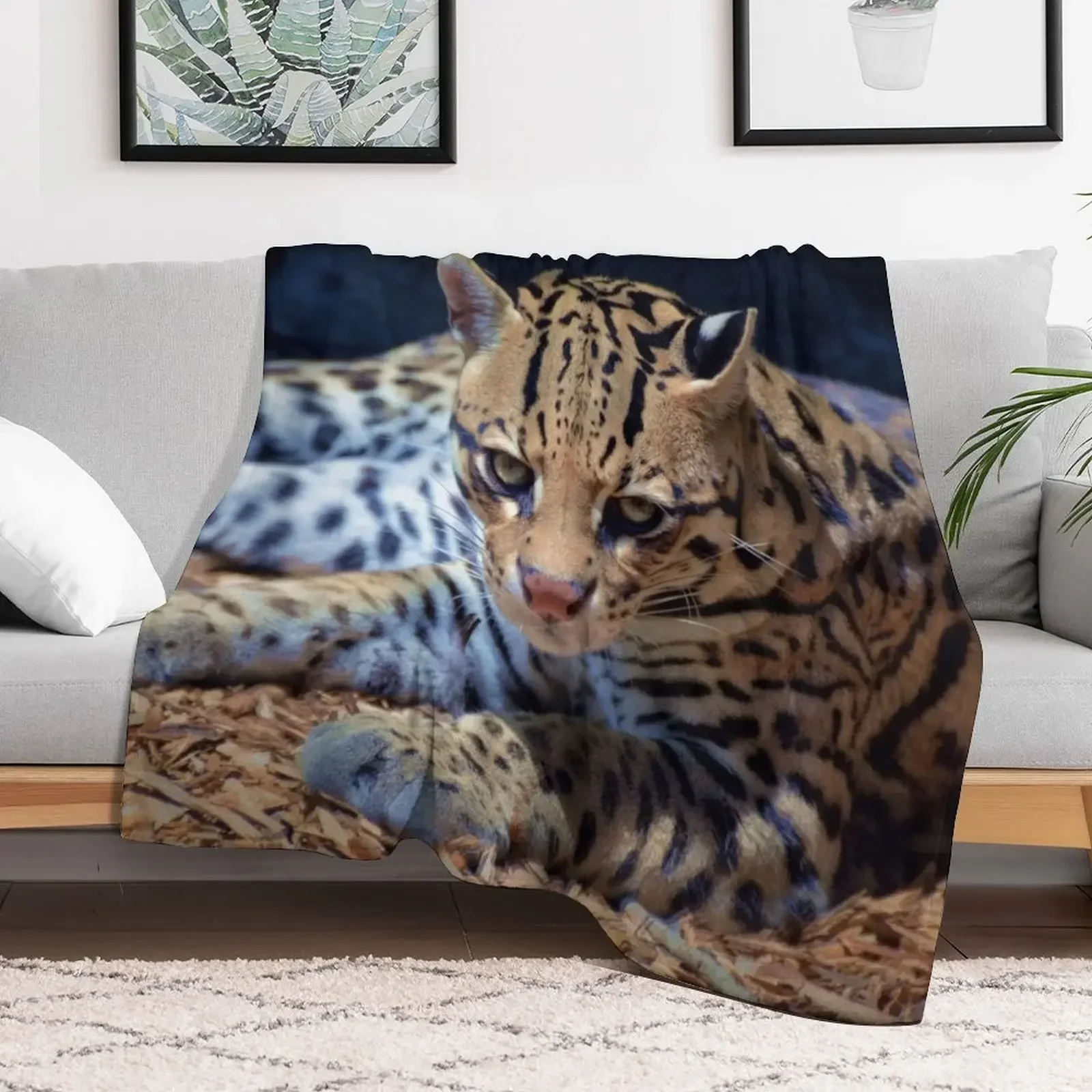 Ocelot Throw Blanket Sofa Throw Decorative Beds Beautifuls anime Blankets