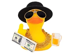 duck dashboard car