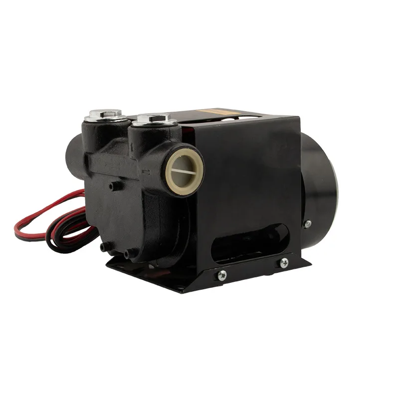 

12V/24v DC Diesel Pump Fuel Suction Pump Self-priming Oil Diesel