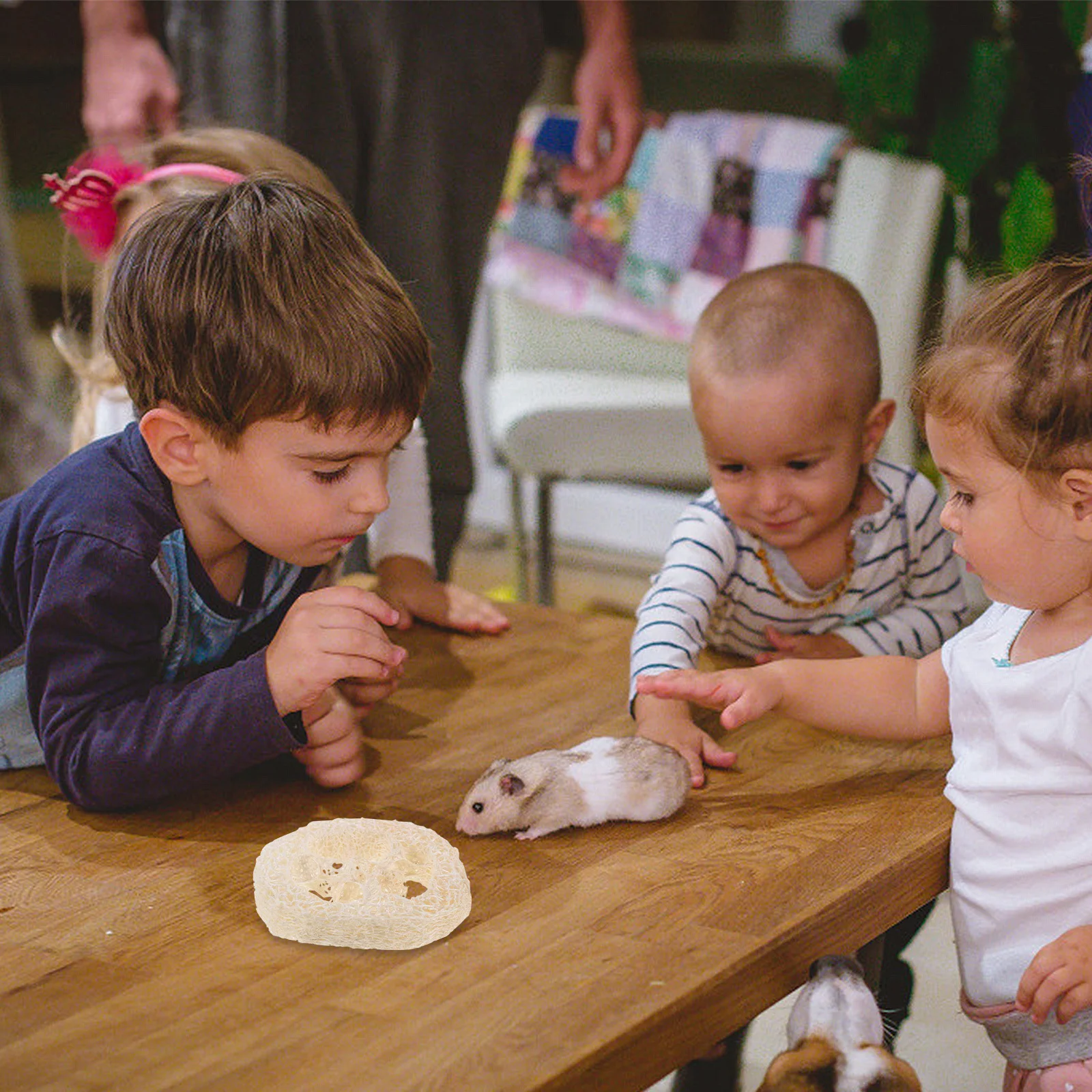 

40Pcs Natural Loofah Slices Pet Molar Chew Hamsters Rabbits Guinea Pigs Rats Small Pets Oral Health Cleaning Small Loofah