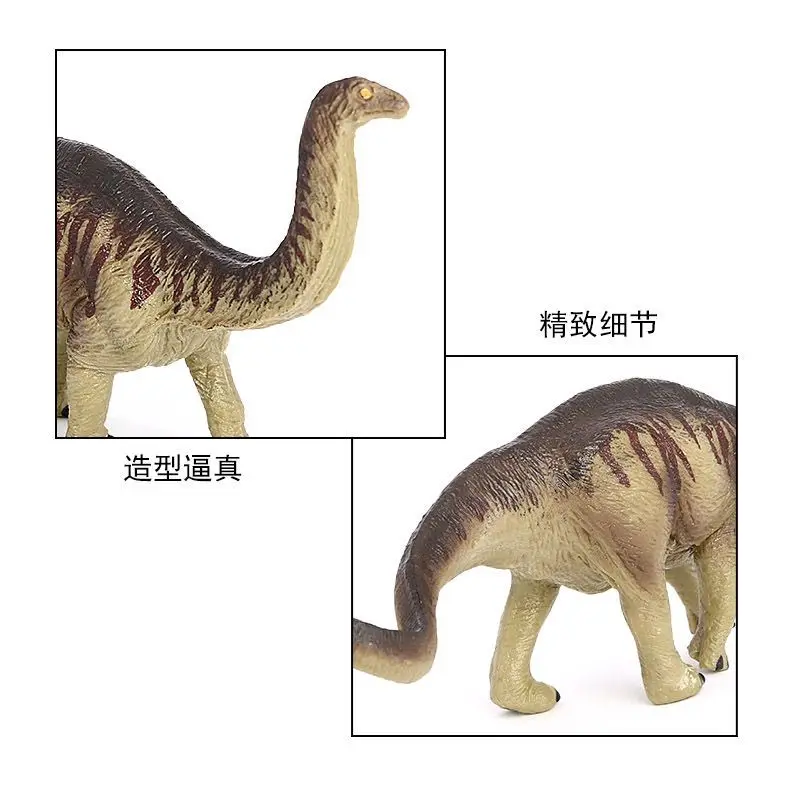 Simulazione cognitiva per bambini Modello giurassico solido Dinosauro preistorico Brontosauro Diplodocus Giocattolo Ornamento Figura