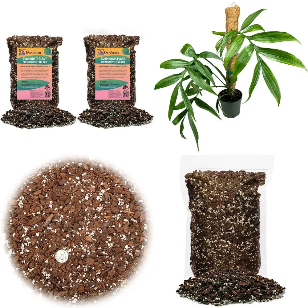 

Monstera Subpinnata Planting Mix - Supports Robust Growth and Lush Foliage - 10 Quart (2 x 5 Quart)