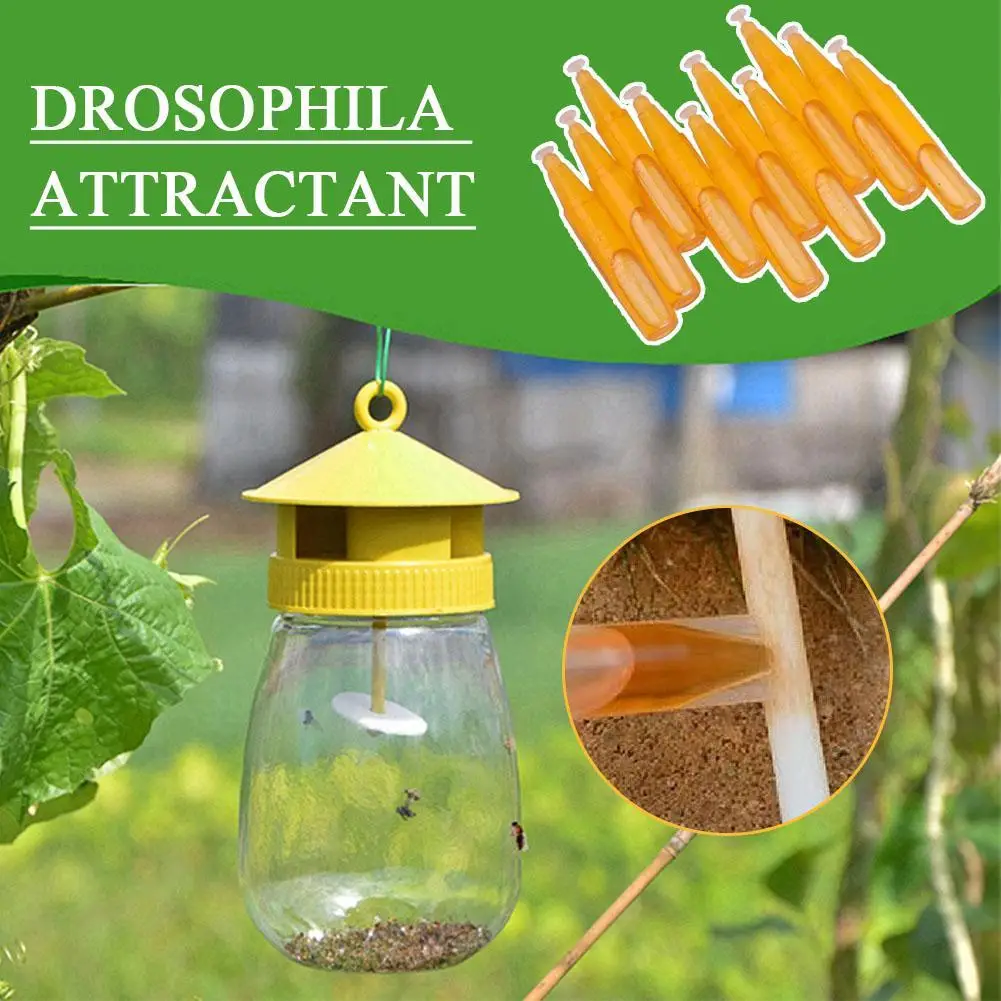 

Drosophila Attractant 10pcs Beehive Trapping Bait Fly Fruit Trap Attract Flies Agent And Mosquitoes S3r1