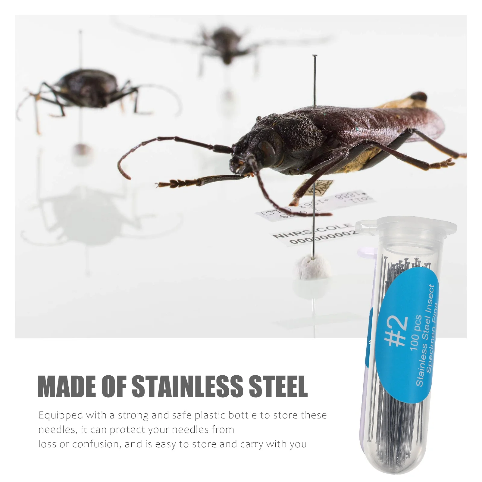 

100Pcs Stainless Steel Insect Pin Specimen Needles Entomology Collection Mounting Display Rust Resistant Scientific Use