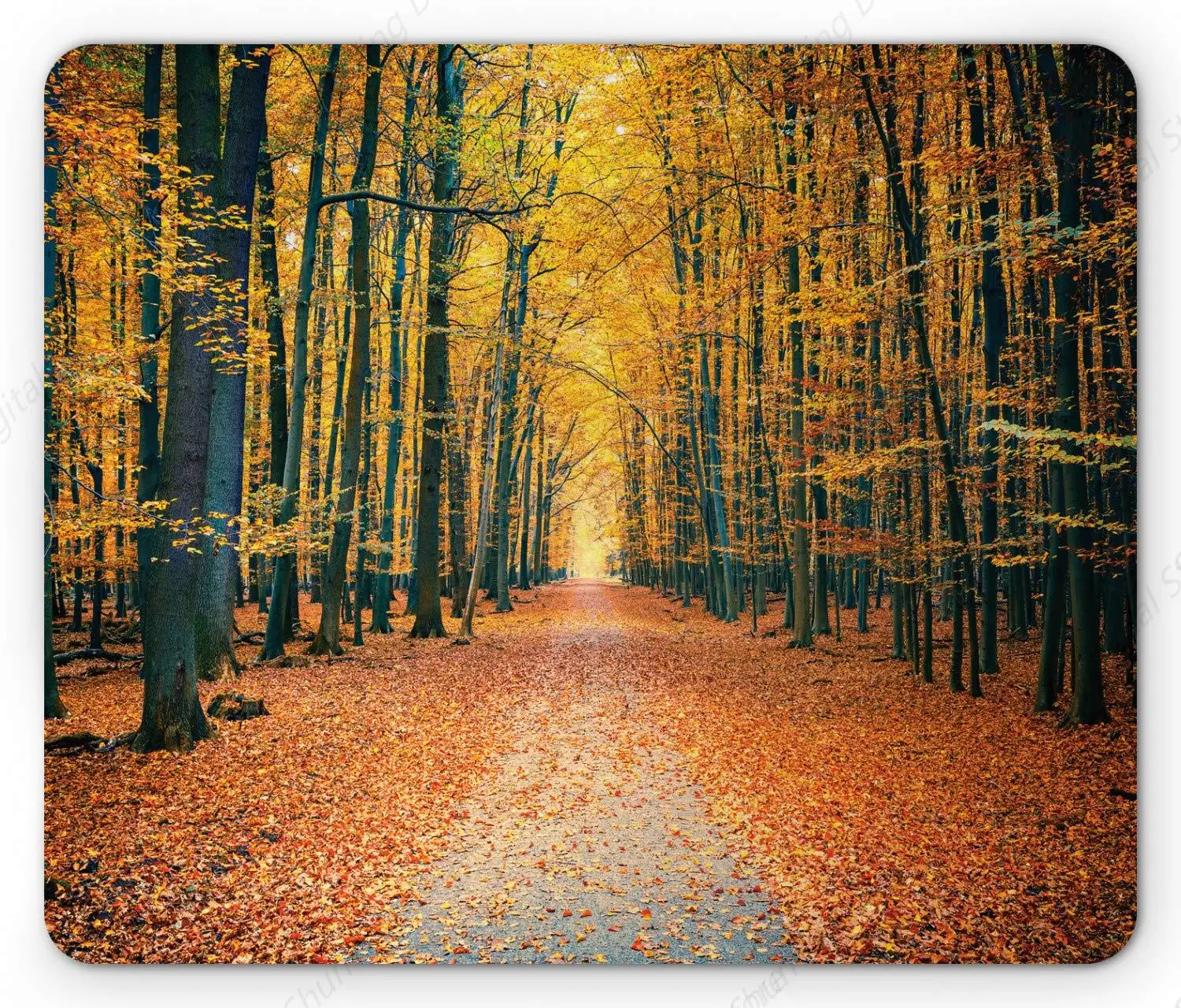 Computer Game Mouse Pad Romantic Autumn Alley Yejing Park Forest Image Durable Anti Slip Rubber Mouse Pad Gift 25*30cm