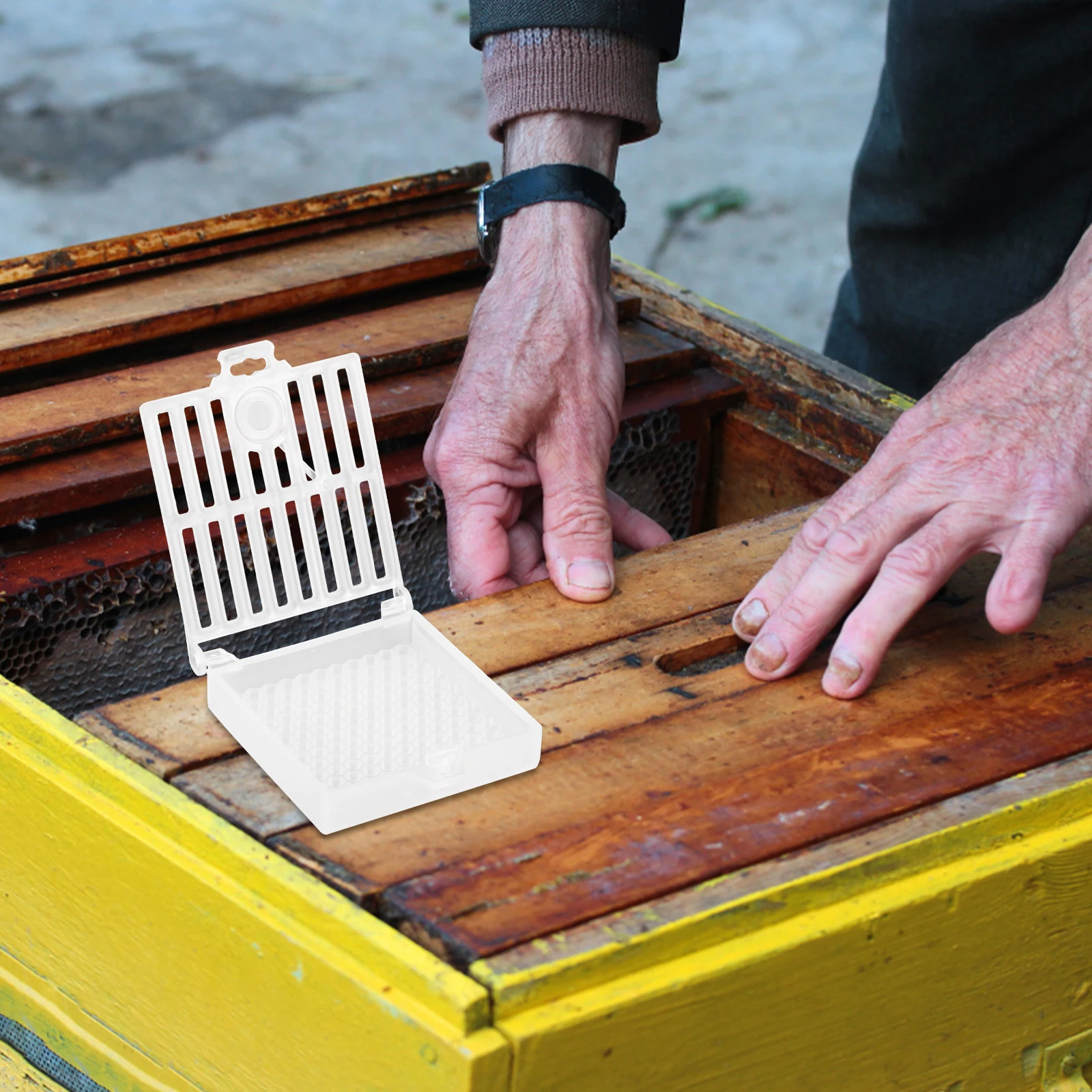 

Rearing Cell Cage Beekeeping Tools Plastic Lightweight Breeding Cage Hive Equipment Beekeeper Cell
