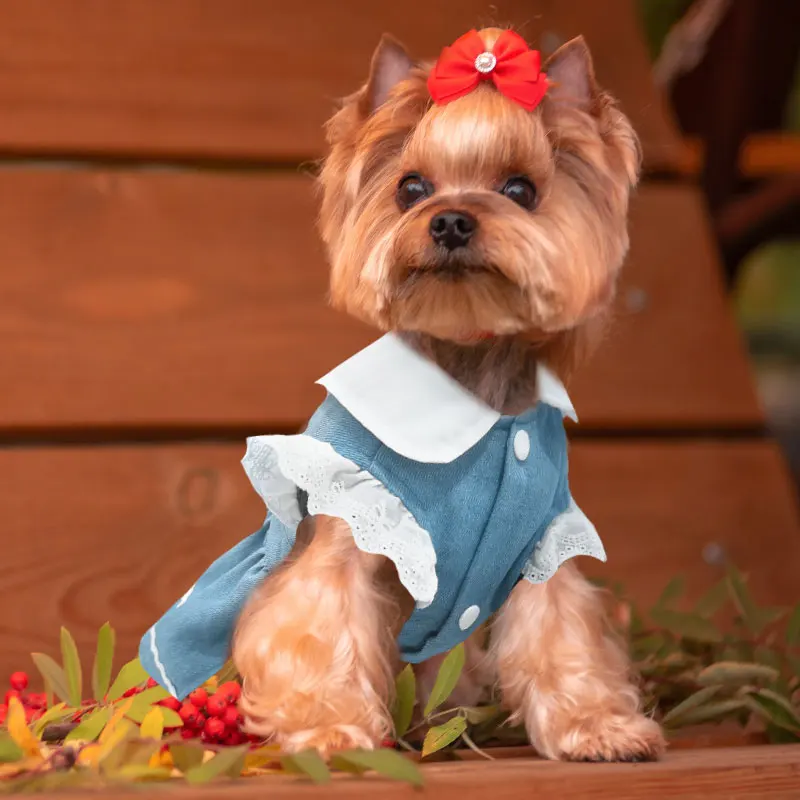 Summer Dog Dress Strawberry Embroidered Sweet Skirt Cat Princess Dresses Chihuahua Yorkie Cute Skirts Puppy Clothes Pet Supplies