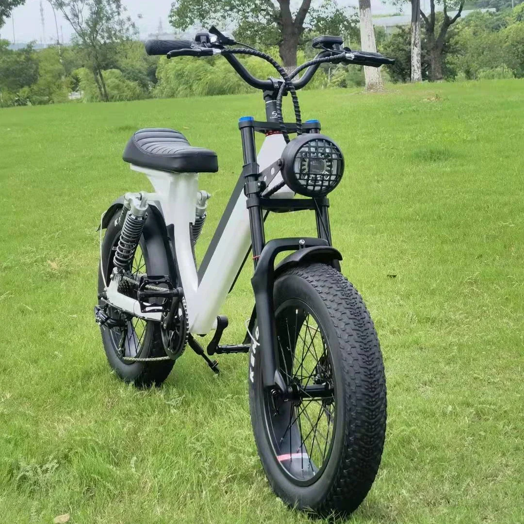 Full Suspension Fat Tire Electric Bicycle 500W 48V 15AH Off Road Beach Ebike Motor Bike Electric Dirt Bike For Adults