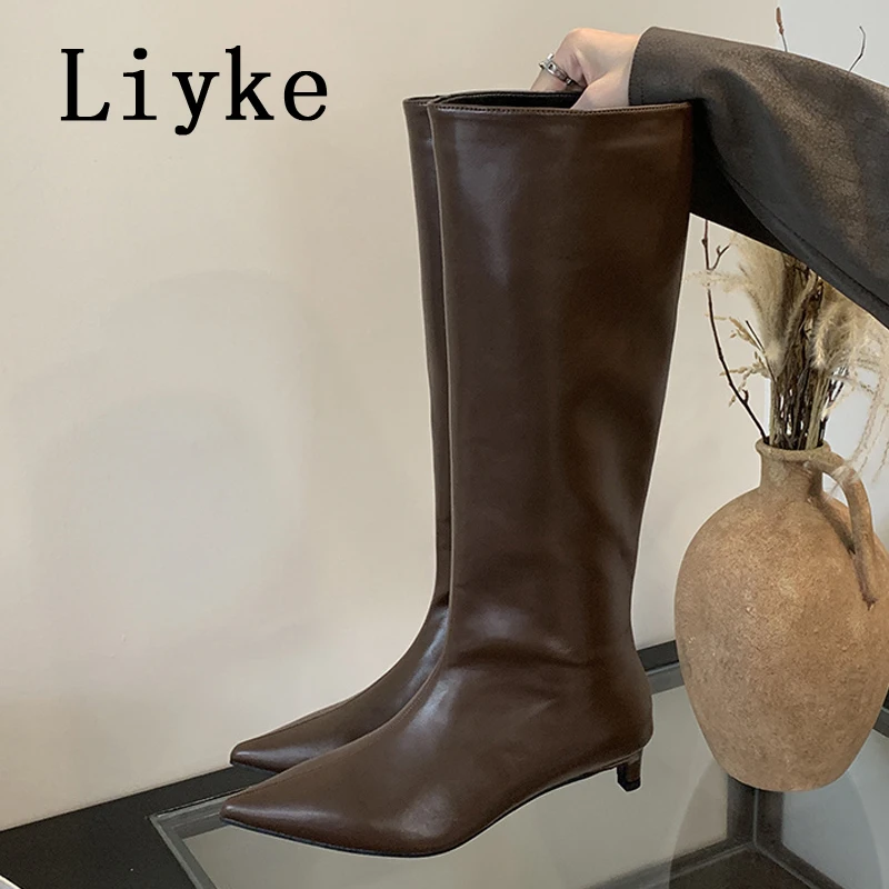 Liyke 2025 novo sexy dedo do pé apontado salto baixo joelho botas altas feminino preto aconchegante couro do plutônio primavera outono sapatos longos bombas femininas