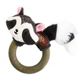 Raccoon