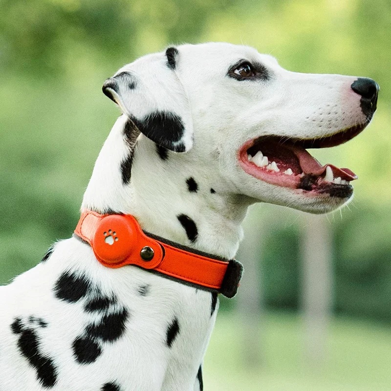 IP67 Waterproof Tracker Collar For Dogs Waterproof Only Works With For Apple Find My Dark Green