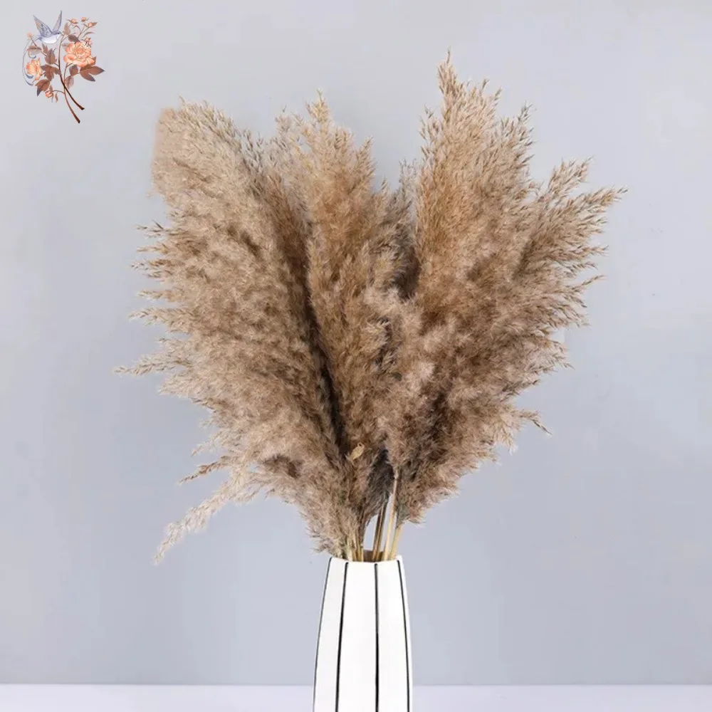 

Fluffy Dried Pampas Bouquet Boho Home Decoration Natural Phragmites Reed Pampa Bunch Wedding Artificial Flowers Shooting Props