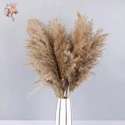 Fluffy Dried Pampas Bouquet Boho Home Decoration Natural Phragmites Reed Pampa Bunch Wedding Artificial Flowers Shooting Props
