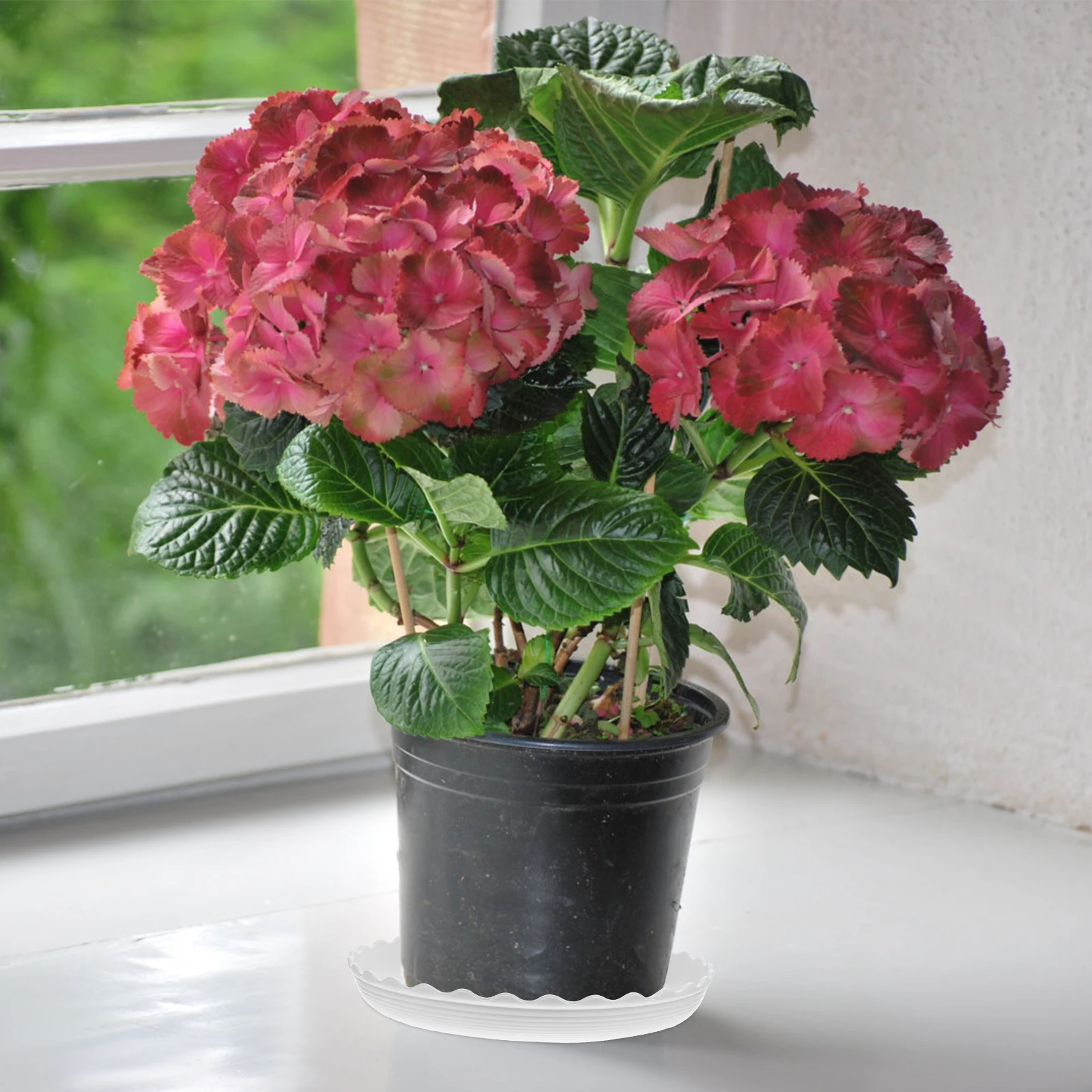 

10pcs Round Chassis Pad Thick Plastic Plant Saucers Drip Trays for Flower Pots Durable PP Material Garden
