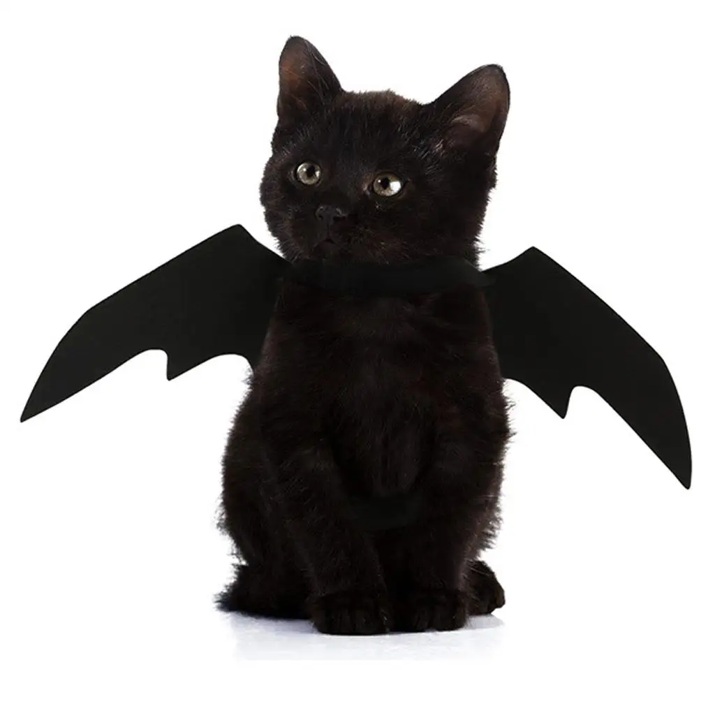 Pet Cat Bat Wing Black Cute Fancy Dress Party Halloween Decoration