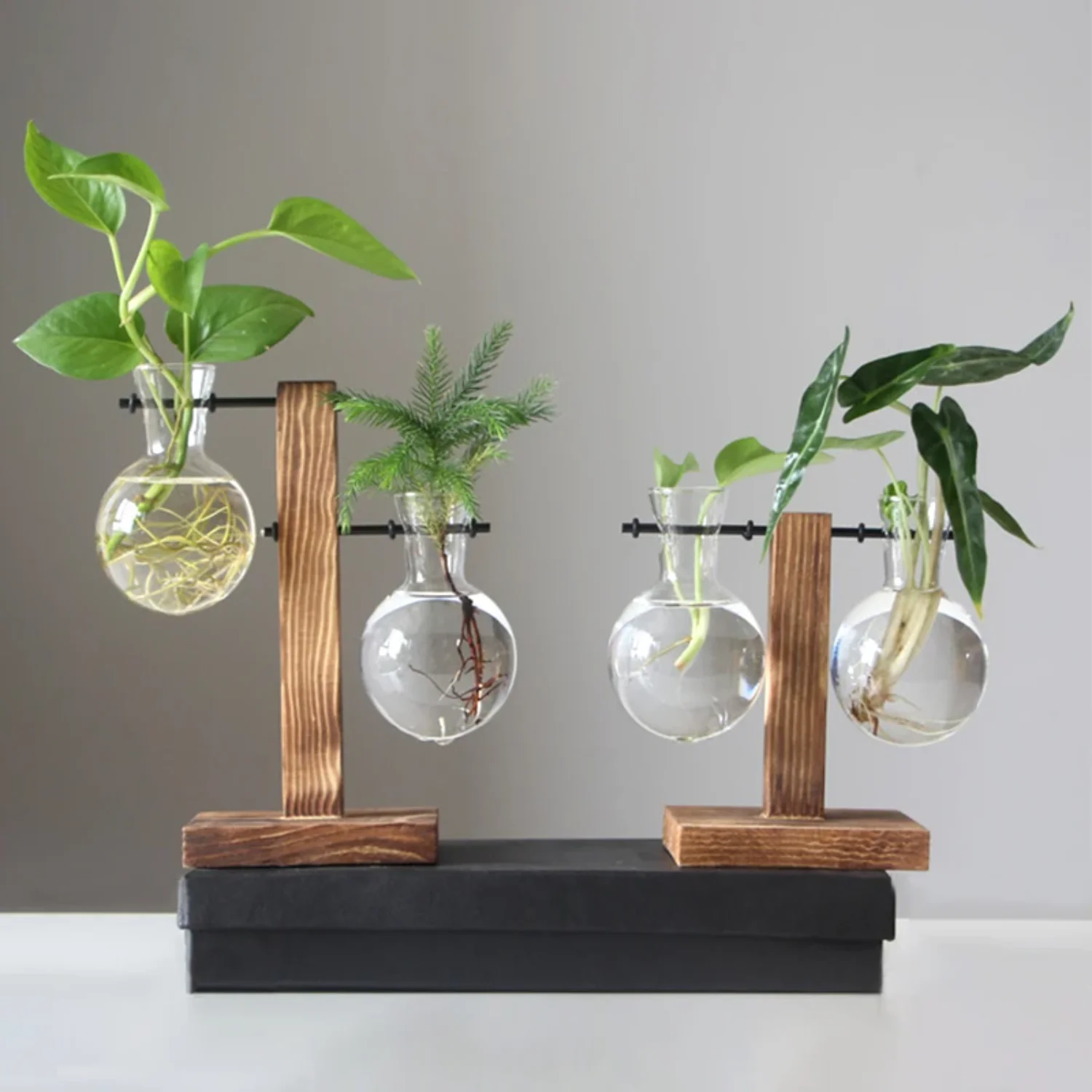 Hydroponic  Flower Pot Terrarium Glass Plant Pot Wooden Plant Shelves Houseplant Bonsai Tabletop  Decoration