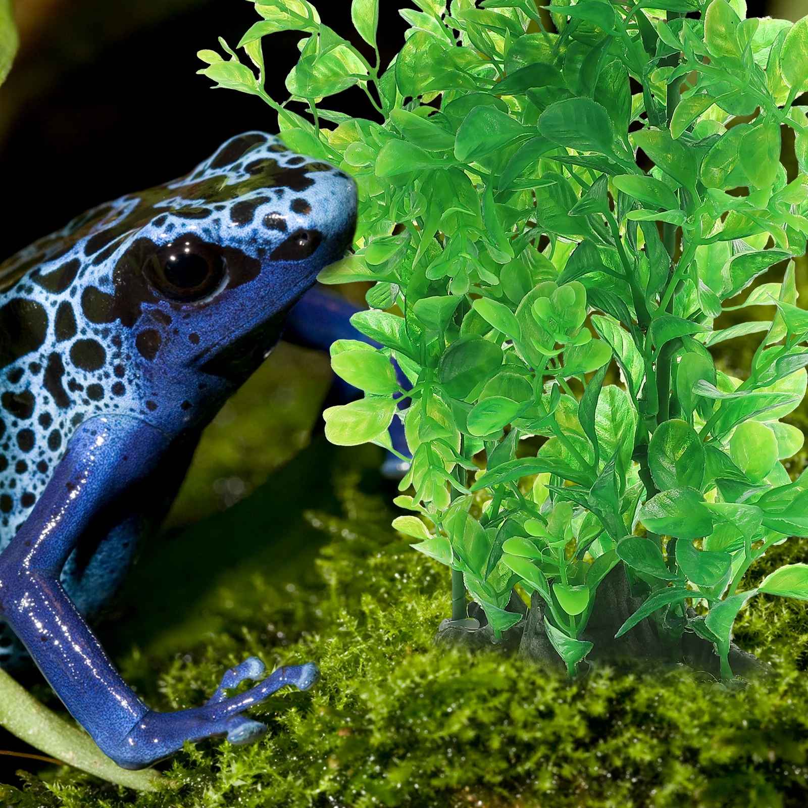 

Plastic Aquatic Decoration Plants for Fish Tank Aquarium Lifelike Green Plant Ornament Durable Easy Maintenance Pet Supplies