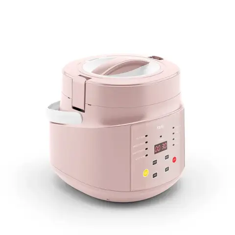 F-40F316L riskokare 0 beläggning lämplig för 316L multifunktionell matlagning i hushållet 10 best sales rais-kokare - №10