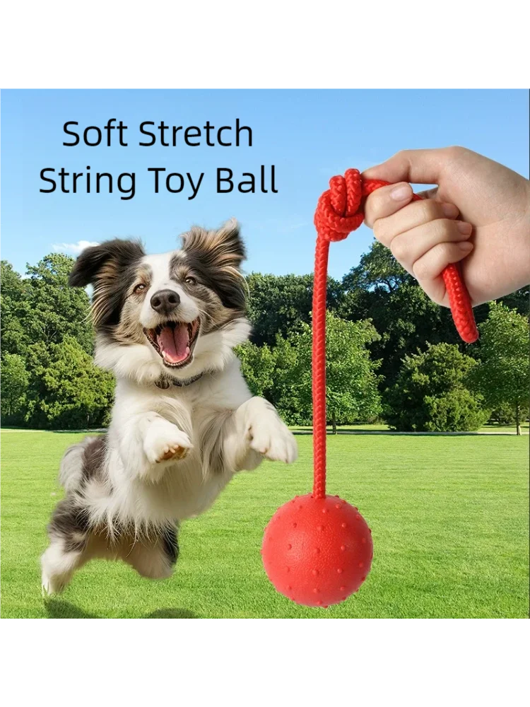Thumbnail 2 - #24 Latest Puppy Rope Toys Offers